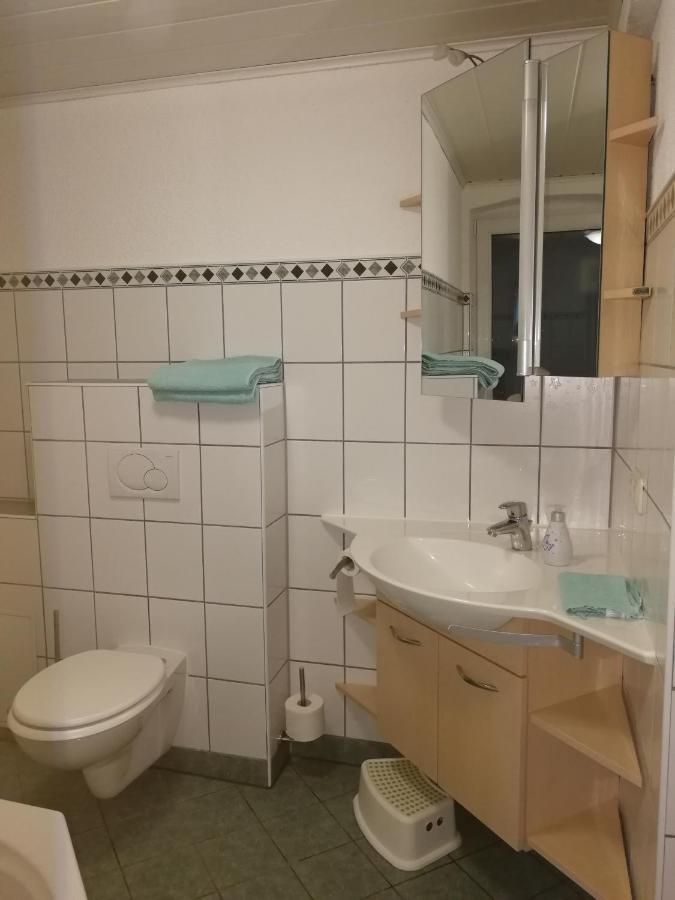 Ferienwohnung Simmert Gohrisch Bagian luar foto